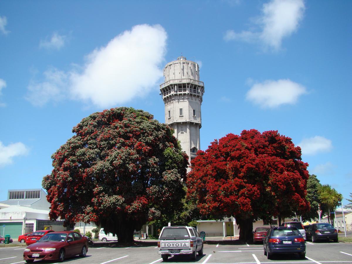 Kiwi Court Motel Hawera Zewnętrze zdjęcie